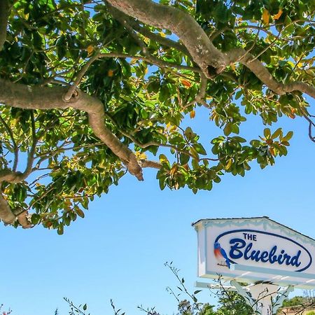 Bluebird Inn Cambria Esterno foto