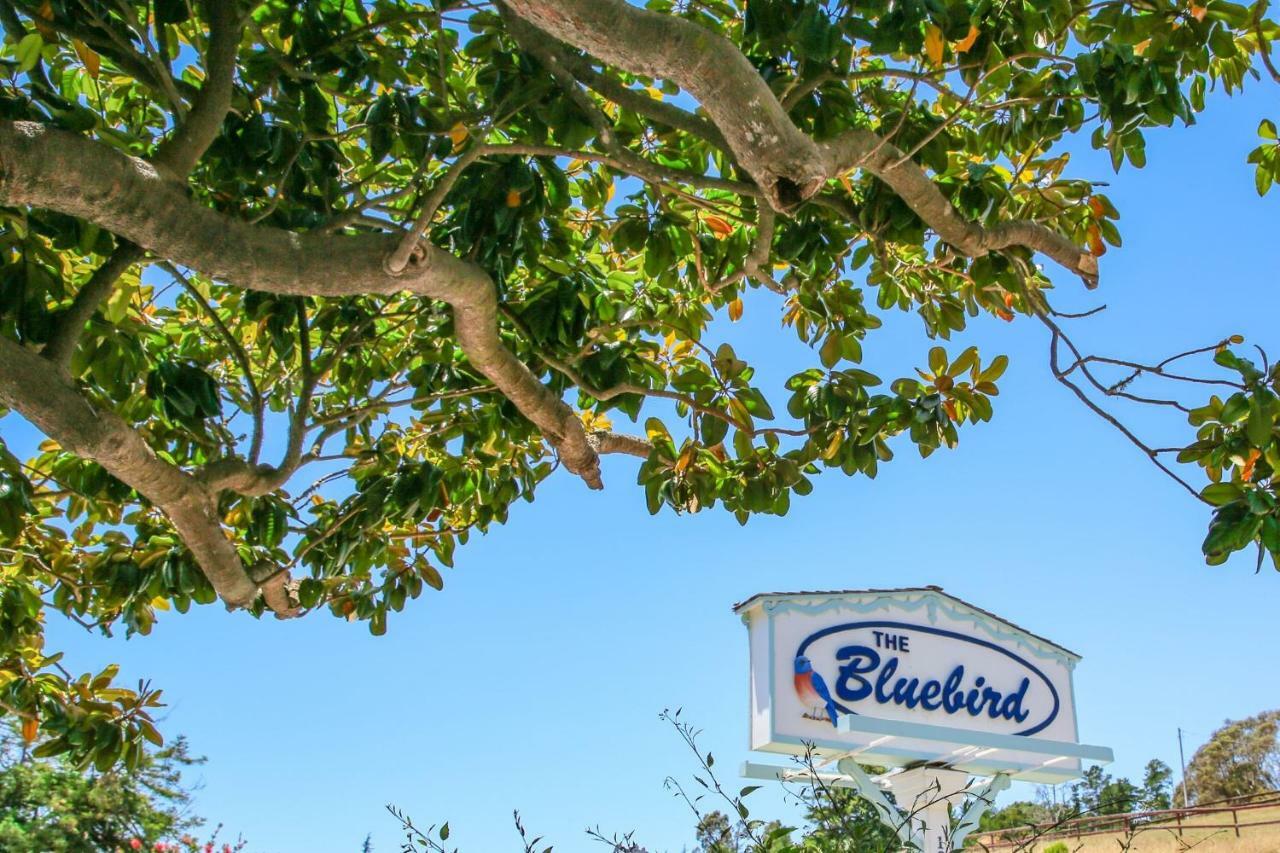Bluebird Inn Cambria Esterno foto